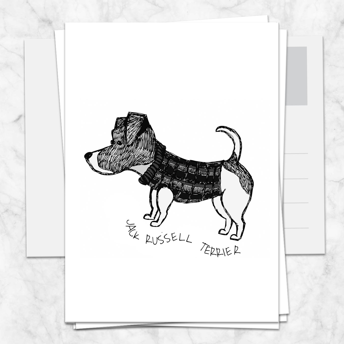 Postkarte Jack Russell Terrier