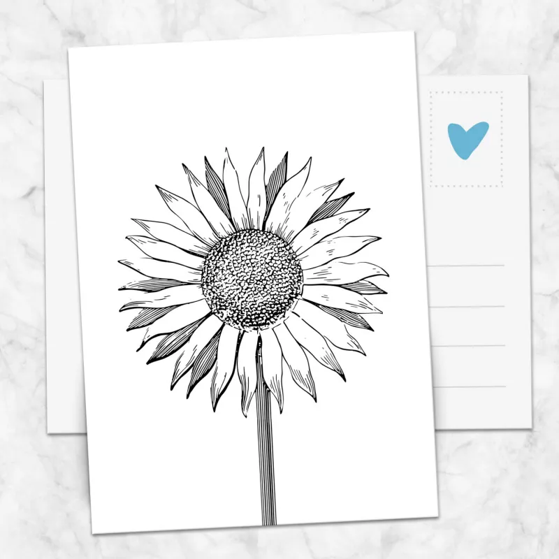 Postkarte SonnenBlume